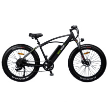 Dual Disc Brakes Alloy Electric Bicycle with Fat Tire